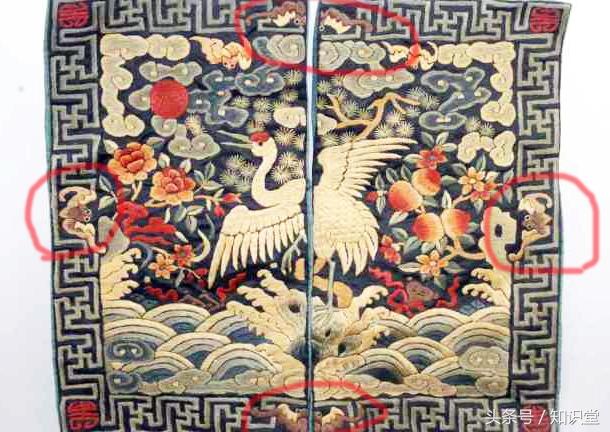 蝙蝠属不属于鸟类，蝙蝠算不算鸟类（蝙蝠到底是飞禽还是走兽）