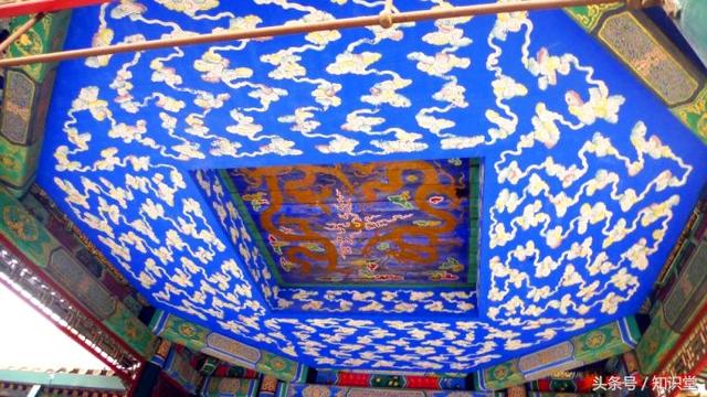 蝙蝠属不属于鸟类，蝙蝠算不算鸟类（蝙蝠到底是飞禽还是走兽）