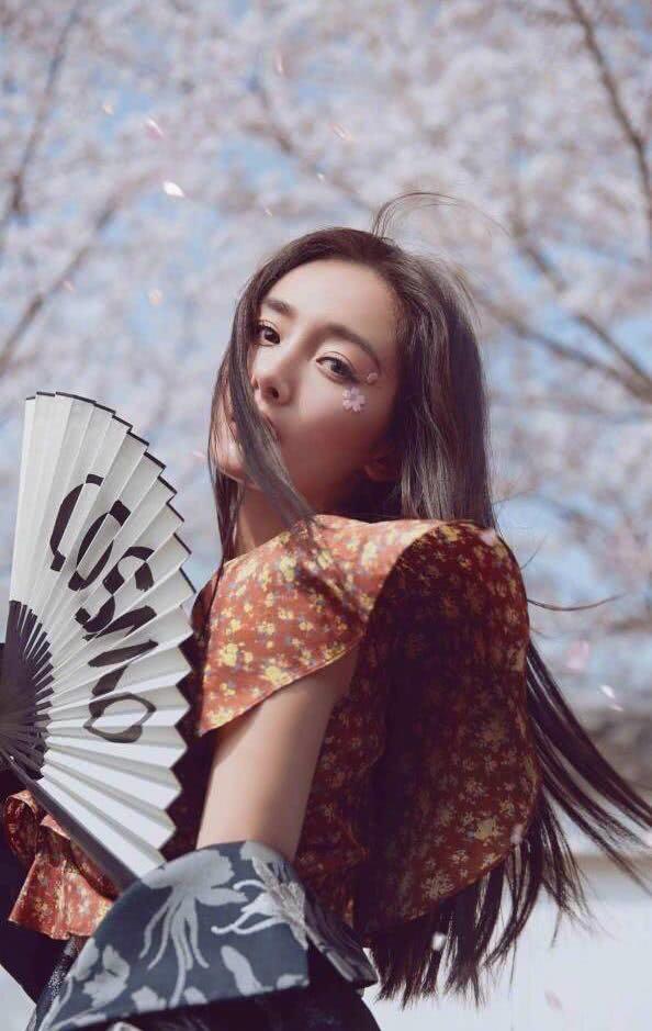 杨幂日本写真终于出炉,和服樱花美成妖精