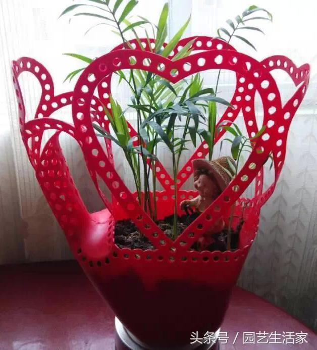 洗衣液瓶制作花瓶的方法大全，洗衣液瓶变花瓶（剪一刀就变成漂亮的花盆）