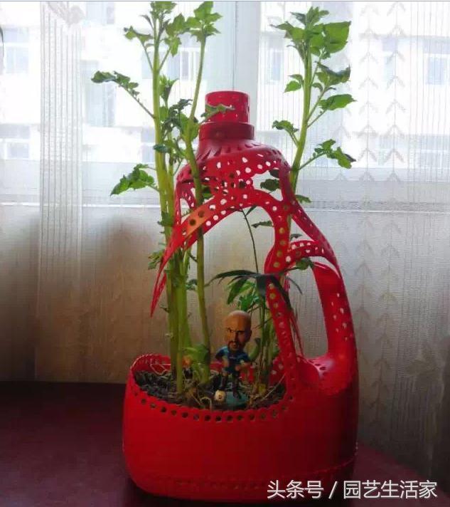 洗衣液瓶制作花瓶的方法大全，洗衣液瓶变花瓶（剪一刀就变成漂亮的花盆）