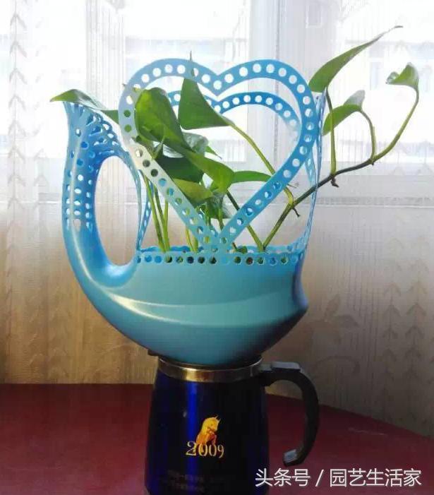 洗衣液瓶制作花瓶的方法大全，洗衣液瓶变花瓶（剪一刀就变成漂亮的花盆）