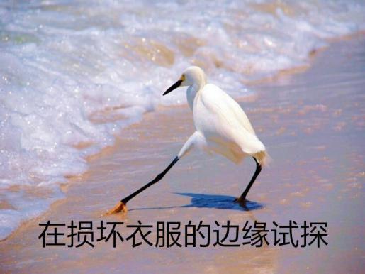 丝绸怎么洗，aj白丝绸怎么洗（关于洗衣服的答案都在这里）