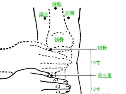 足三里的准确位置图片主治，足三里位置图和作用足三里（养生：怎么找到足三里穴）