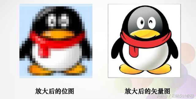什么是位图，什么是位图什么是矢量图两者各有何特点（谈位图与矢量图的关系与区别）