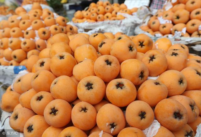 枇杷果的作用与功效 枇杷果的食用价值，枇杷果的作用与功效（可鲜食、可药用、爱吃枇杷的人要注意）