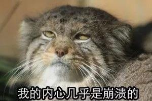 曾经被我念错名字，送别贝聿铭（那些年被读错的名字）