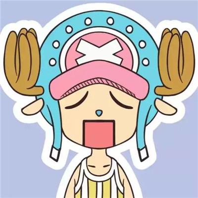 海贼王动漫图片，海贼王（超萌的海贼王个性微信头像Q版）