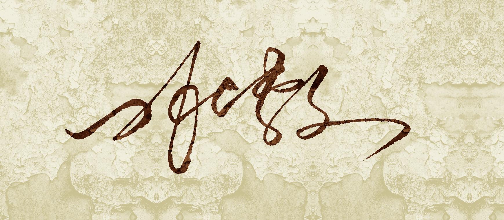 最新抽送的商务一笔签名设计,快来看看,太漂亮了-上犹电脑信息网