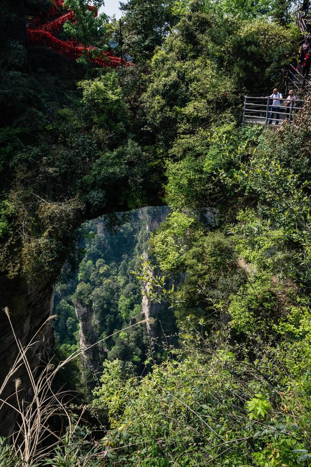 湖南张家界旅游景点，湖南张家界旅游景点门票（这七个景点不能错过）