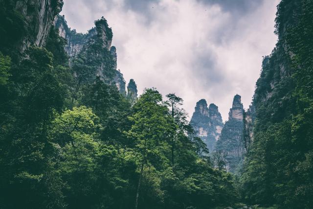 湖南张家界旅游景点，湖南张家界旅游景点门票（这七个景点不能错过）