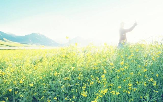 什么星座最专一，最专一的五大星座（爱上就不会说分手的3个星座）
