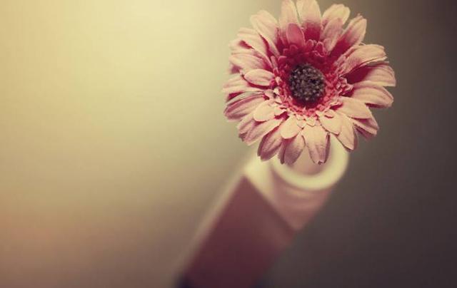 什么星座最专一，最专一的五大星座（爱上就不会说分手的3个星座）