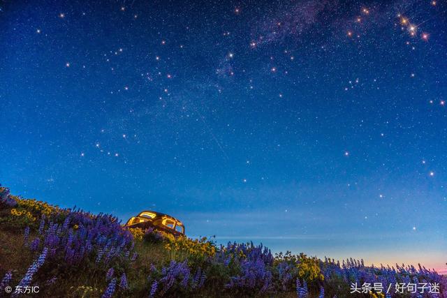 qq网名个性网，精选 四字网名微信昵称（有找到合适你的网名昵称）