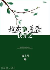 快穿之打脸之旅，类似快穿之炮灰逆袭系统（逆袭女配撩汉记~快穿之打脸之旅~人在江湖飙）