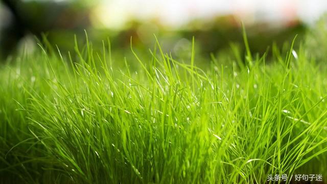 qq网名个性网，精选 四字网名微信昵称（有找到合适你的网名昵称）