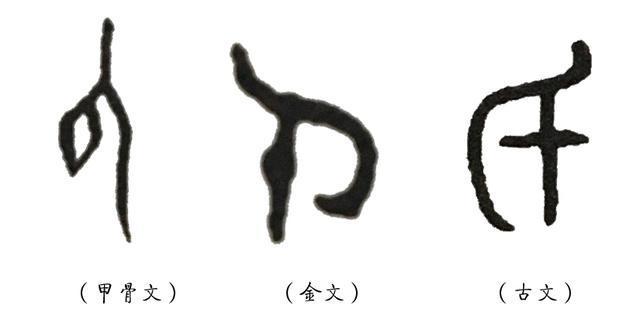 读zhi的字有什么，zhi的字是什么（《说文解字》第五课）