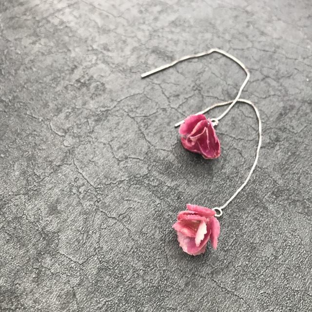 康乃馨的图片，“胭脂透”<康乃馨制作>（红色康乃馨图片）