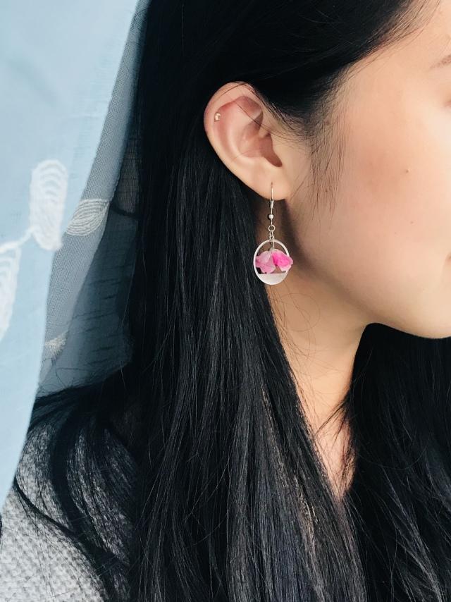 康乃馨的图片，“胭脂透”<康乃馨制作>（红色康乃馨图片）