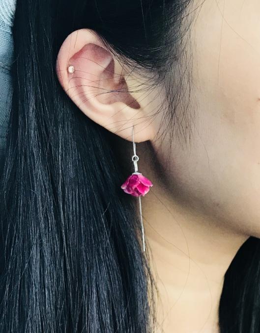 康乃馨的图片，“胭脂透”<康乃馨制作>（红色康乃馨图片）