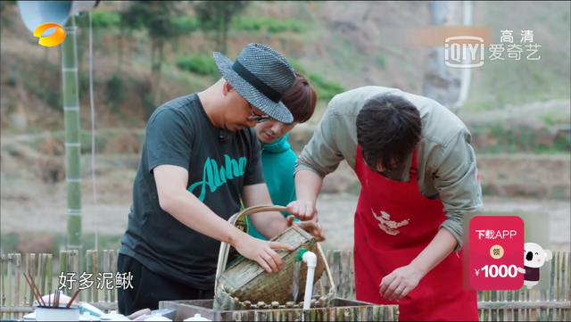 三个年轻人抓黄鳝，《向往的生活》这几个年轻人太没常识了吧