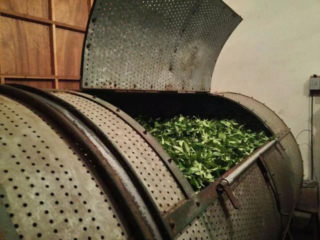 全发酵茶有哪些，白茶是不是发酵茶（它们分别属于哪个发酵程度）