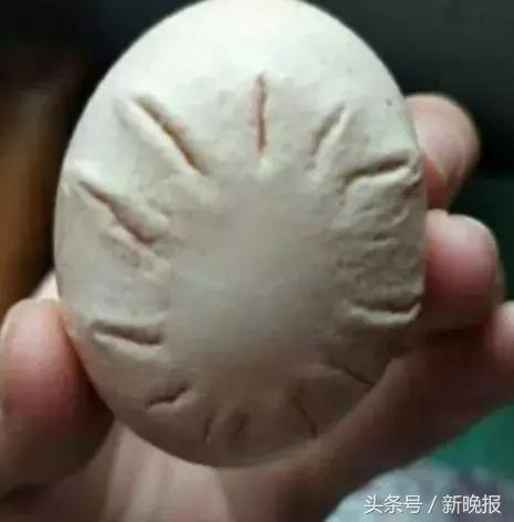 死胎蛋照射的图片，鸭蛋怎么孵化需要准备什么（浙江一母鸡竟生下这样的蛋……养鸡十几年第一次见）