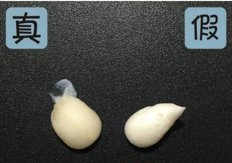 红石榴洗面奶新版真假，洗面奶雅诗兰黛红石榴（雅诗兰黛——红石榴洗面奶买了假的太亏了）