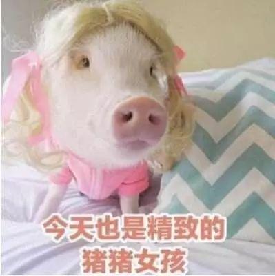 小猪佩奇是哪个国家的，小猪佩奇是哪国的（《小猪佩奇》一部14年前开播的英国动画）