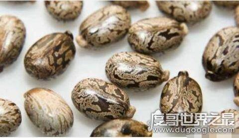 世界最毒化学物质前二十，化学武器vx神经毒气最毒
