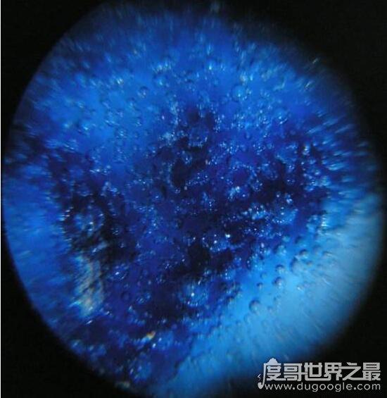 世界最毒化学物质前二十，化学武器vx神经毒气最毒