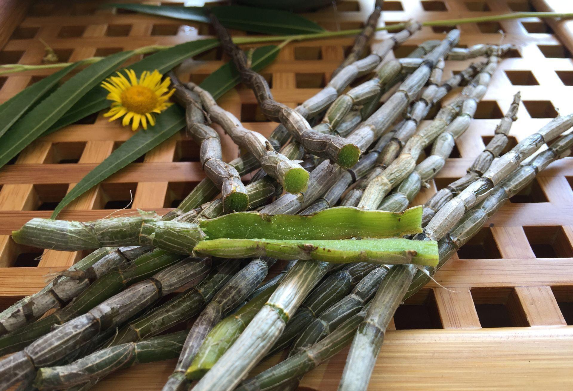 云南石斛的功效与作用(石斛的功效与作用) - 行就行