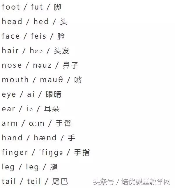 animals英语怎么读，animals怎么读（<附音标>人手一份）
