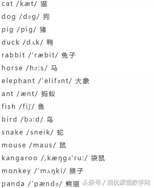 animals英语怎么读，animals怎么读（<附音标>人手一份）