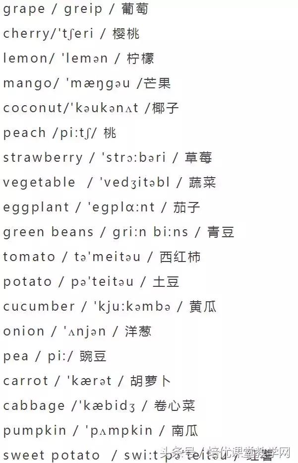 animals英语怎么读，animals怎么读（<附音标>人手一份）