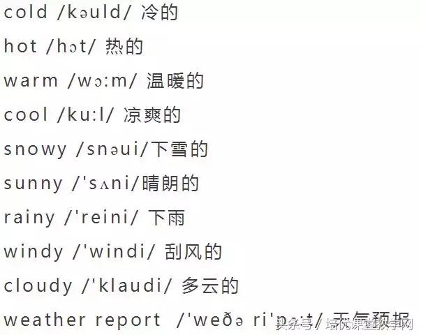 animals英语怎么读，animals怎么读（<附音标>人手一份）