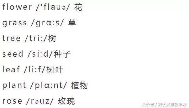 animals英语怎么读，animals怎么读（<附音标>人手一份）