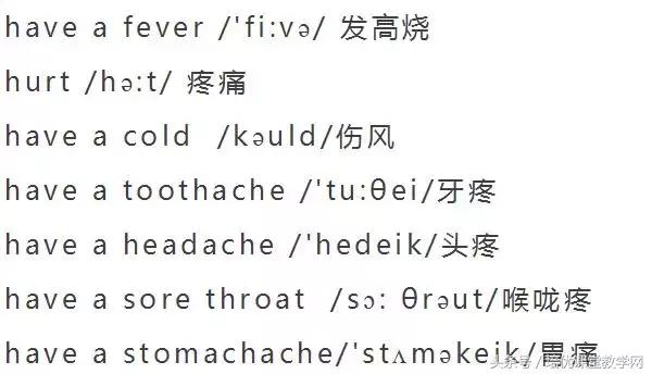 animals英语怎么读，animals怎么读（<附音标>人手一份）