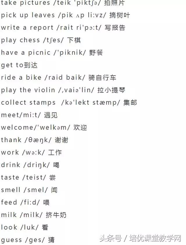 animals英语怎么读，animals怎么读（<附音标>人手一份）
