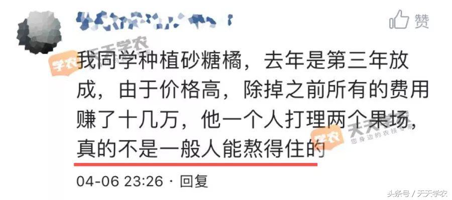 学农网（滞销）