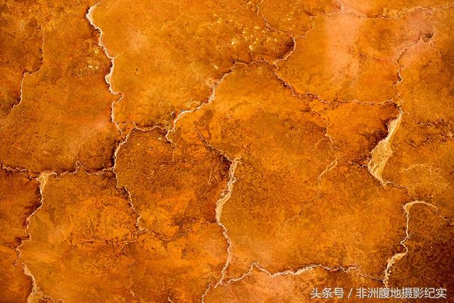 非洲有大裂谷吗，非洲大裂谷在哪里（摄影家带你观看东非大裂谷红色的生命奇迹）