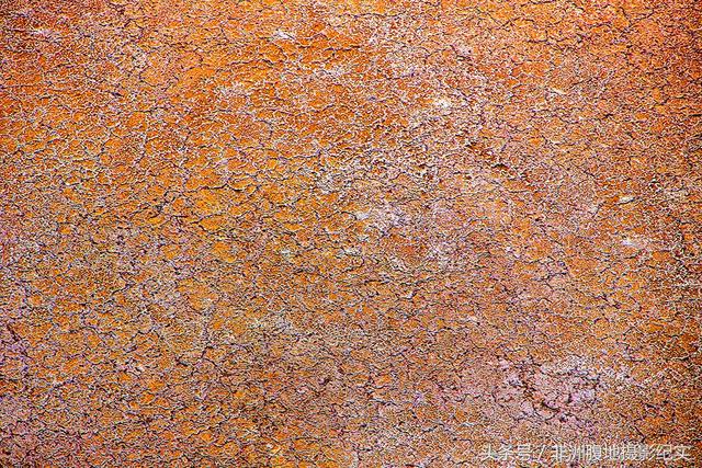 非洲有大裂谷吗，非洲大裂谷在哪里（摄影家带你观看东非大裂谷红色的生命奇迹）