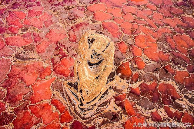 非洲有大裂谷吗，非洲大裂谷在哪里（摄影家带你观看东非大裂谷红色的生命奇迹）