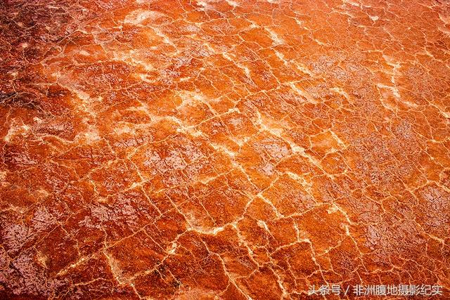 非洲有大裂谷吗，非洲大裂谷在哪里（摄影家带你观看东非大裂谷红色的生命奇迹）