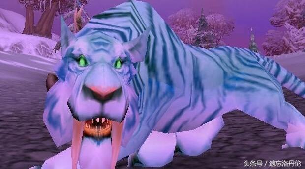 断牙好还是鲁伯斯好，wow60年代猎人宠物鲁伯斯断牙修玛拉克西里攻略（还记得断牙和萝卜丝吗）