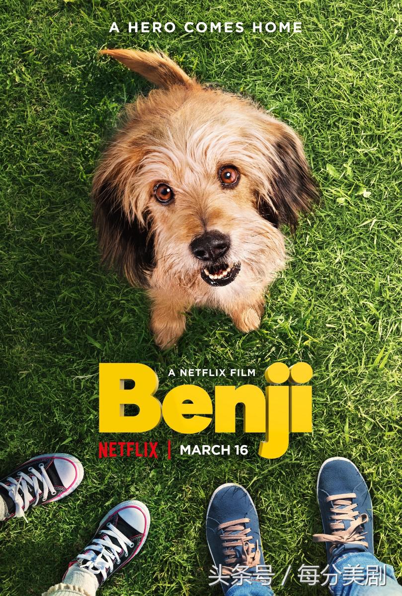 狗奴集结号|除了《犬之岛》,这些狗狗电影你看过吗?