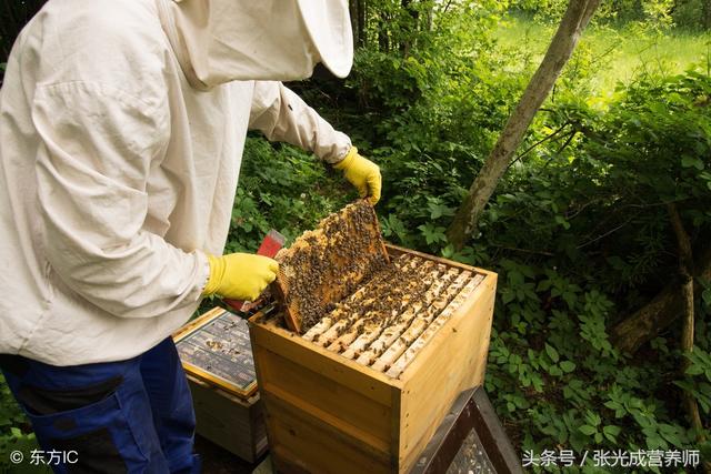 蜂胶4类人不能吃，蜂巢4类人不能吃（蜂胶产品不适合哪些人用）