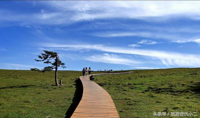 芦芽山旅游攻略自驾游，芦芽山自驾游攻略（周边旅游推荐——芦芽山旅游最全攻略）
