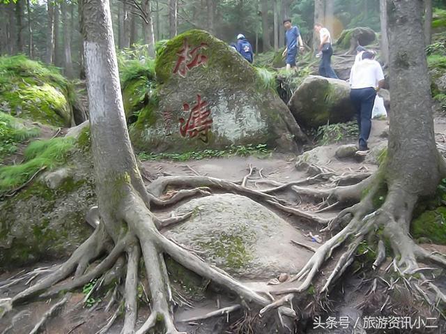 芦芽山旅游攻略自驾游，芦芽山自驾游攻略（周边旅游推荐——芦芽山旅游最全攻略）