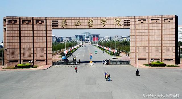 山东农业大学是一本还是二本，山东农业大学2022录取分数线（山东最容易考的五所公办本科大学）